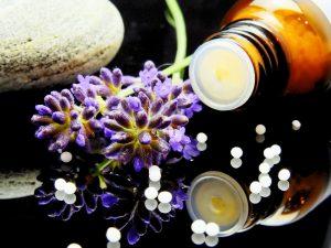 Betriebe und private Anbieter*innen