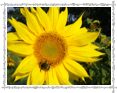 Betriebe und private Anbieter*innen